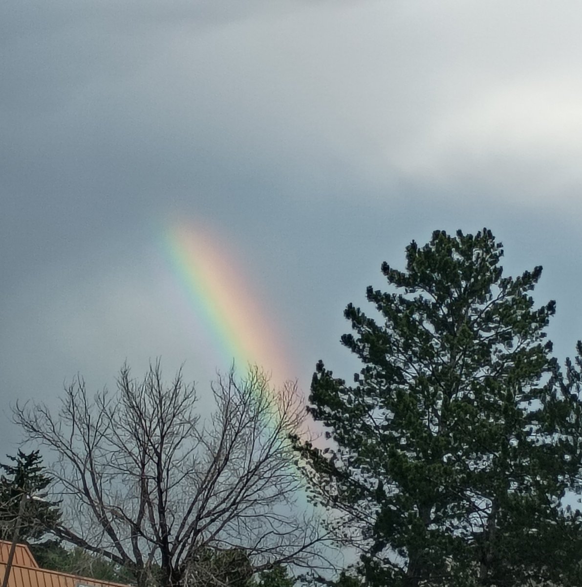 pomnilicious's tweet photo. Super rainy days, beautiful sights https://t.co/U3HDUXQTiW
