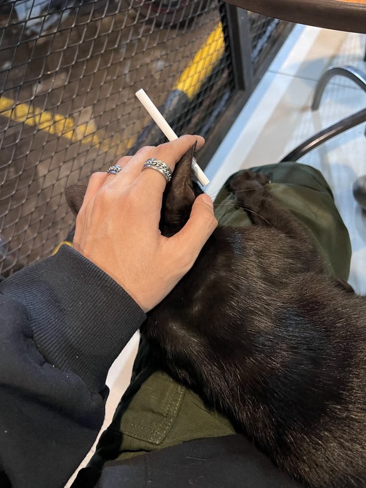 RETR0SCENE's tweet photo. ㅤ
ㅤ
Had a rough fucking shift last night, so I stopped by the nearest konbini to sit for a bit and smoke before heading home. But then this buddy suddenly climbed into my lap, and now I can neither light a cigarette nor go home.
ㅤ
ㅤ https://t.co/pHmAex1To8