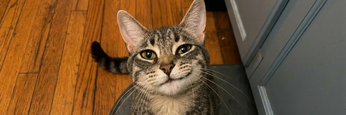ProfitPalPeter's tweet photo. How I feel after putting half my port in this coin https://t.co/U2oPWHt1K6