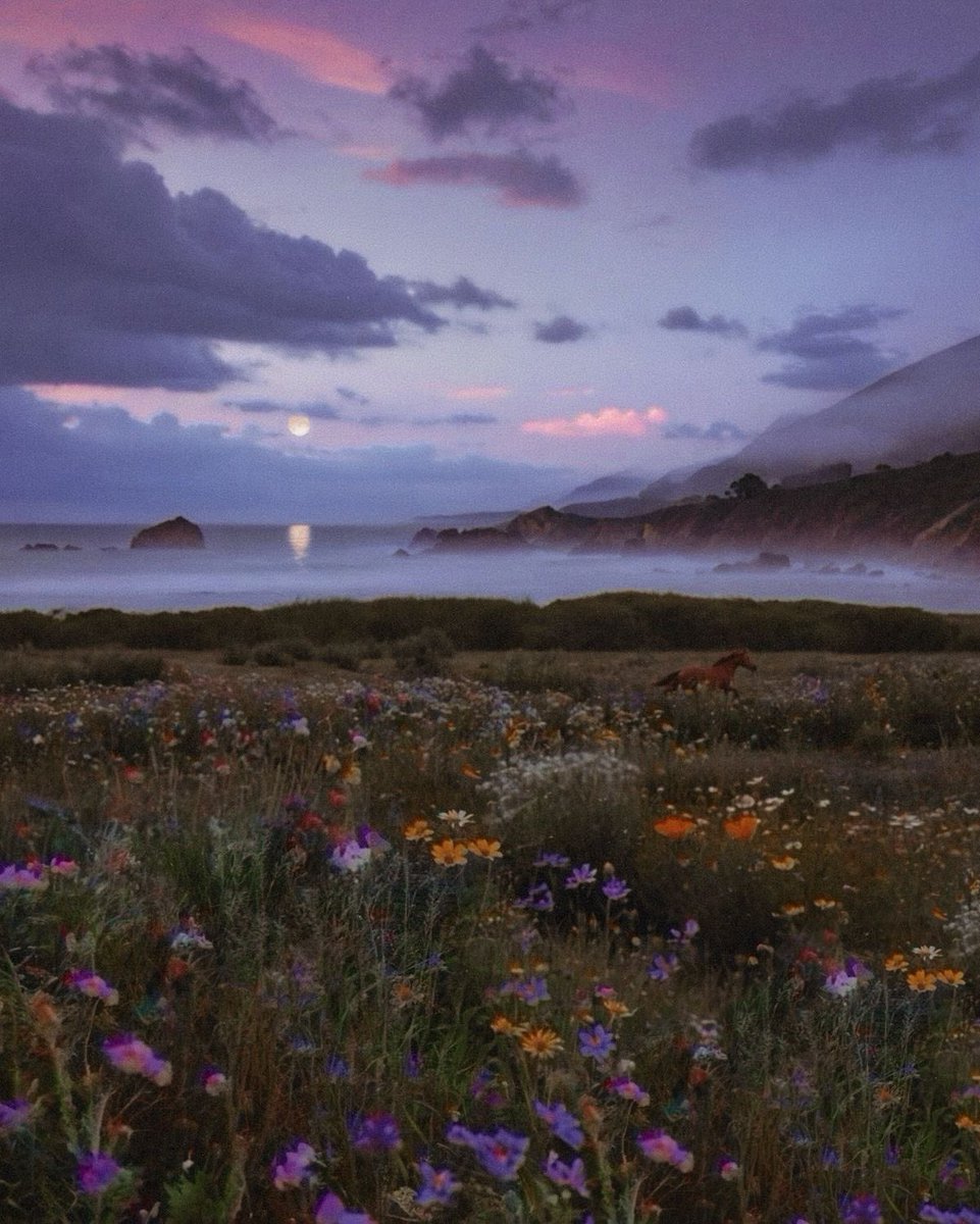 starrikais's tweet photo. letting pinterest choose for me
- lyrics
- character
- scenery
- celebrity https://t.co/WKq4MtZi8v