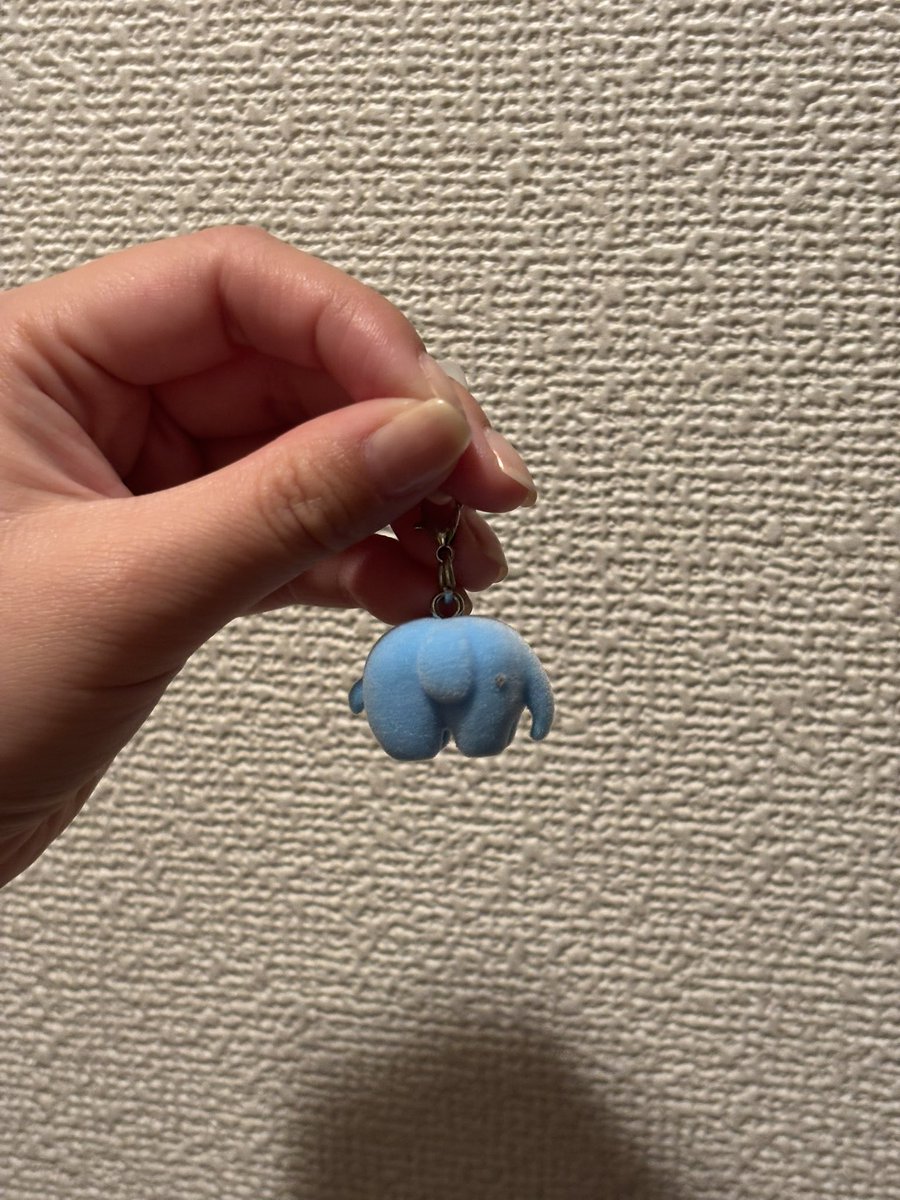 000anzu_'s tweet photo. 日傘につけてたお気に入りの目印チャームどこかで落としちゃったみたいで萎え https://t.co/Phwfm6XwtX