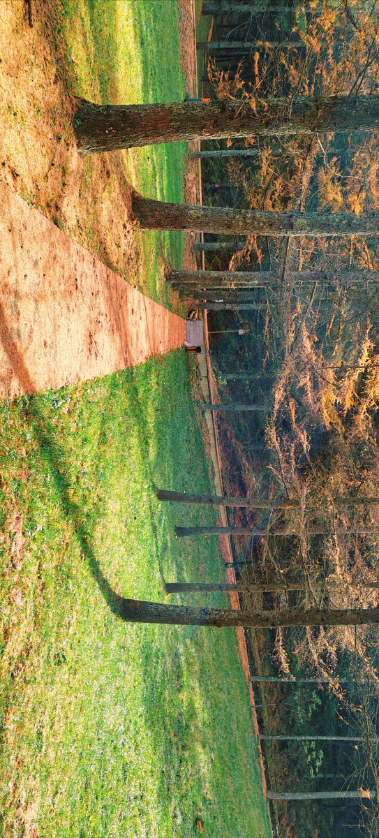 MayurMhetre10's tweet photo. Autumn breeze, golden leaves, and that perfect crispness in the air – the best kind of day to sip a warm latte and watch the world turn cozy ， https://t.co/K6gV8uORYl