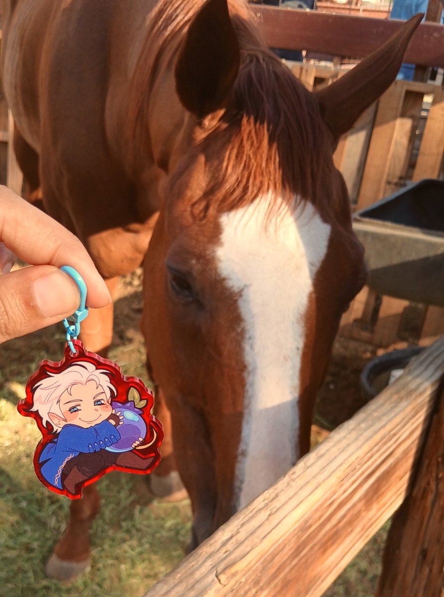 wizardslop's tweet photo. dante and vergil met horsies today!!! https://t.co/pkj0ZdLAkw