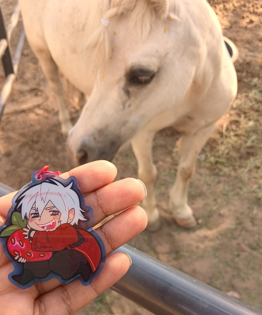 wizardslop's tweet photo. dante and vergil met horsies today!!! https://t.co/pkj0ZdLAkw