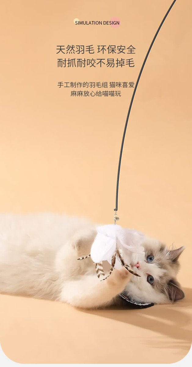 PaulaKrupke's tweet photo. My team accidentally presented a cat video in front of 50 clients today. The silence lasted 10 seconds, then the whole room laughed. Turns out clients love silly surprises too! https://t.co/4FYapJsTbu