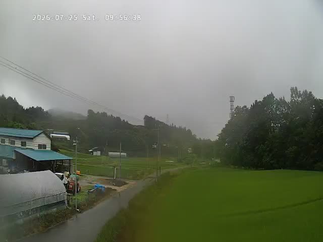 agri92ht's tweet photo. おはようございます🙇☔
今朝のみやこじ里山雨が降ったり止んだりの雨模様です
週末天気が良くないですね❗ https://t.co/m1yx3NezvW