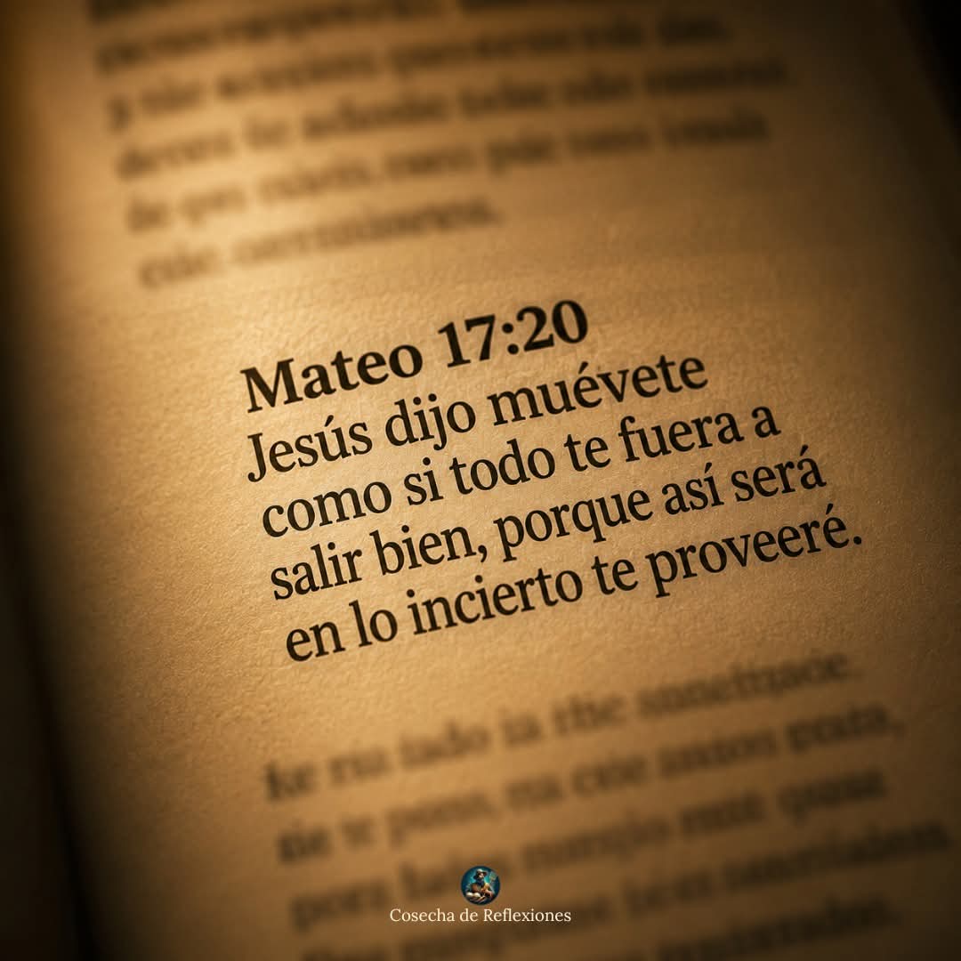 MarchenaTimana's tweet photo. No necesitas tener toda la certeza para avanzar. Basta con un poco de fe, la del tamaño de un grano, para que lo imposible empiece a moverse 🌾 https://t.co/CLOnn6GYef