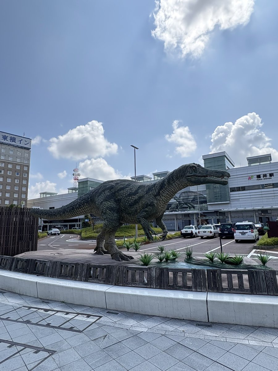 _Beeans's tweet photo. 福井〜🦕 https://t.co/RWP1zIGktt