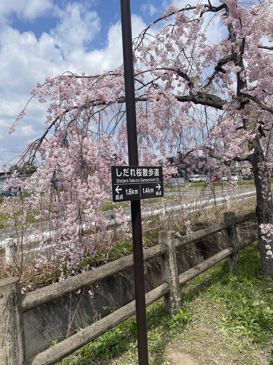 taf_98_'s tweet photo. 4月その③

喜多方の日中線しだれ桜を見に行った🌸
道の駅にしあいづで可愛いパンを買い
帰り際に可愛いステッカーも貰った😌 https://t.co/GnFvi2cGPu