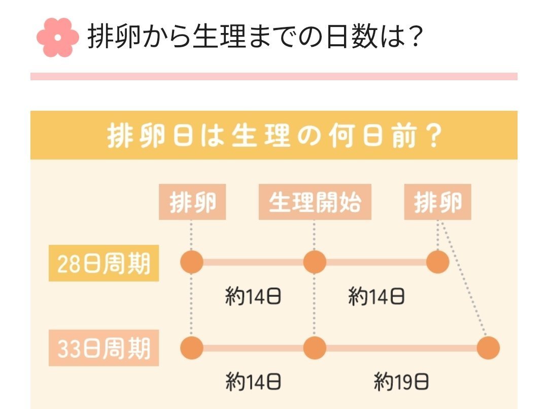 HY_BABYJP's tweet photo. 【生理開始から排卵日の目安📆】

一般的に、女性は排卵から
『約14日後』に月経（生理）がきます。

生理開始から排卵までは
28周期の場合⇨14日後
（排卵検査薬11日目頃から使用）

33周期の場合⇨19日後
（排卵検査薬16日目頃から使用）

『排卵日の2日前』はもっとも妊娠しやすい日だといわれています。この日付近を逃さない事が大切です。

排卵された卵子は、24時間以内に受精しないと死んでしまいます。

しかし男性の精子は、女性の生殖器の中にいる場合、3日ほど生き続けます。

そのため排卵が始まる数日前から排卵直後までの間に、複数回性交渉すると、妊娠する確率は高まります。

【排卵検査薬 開始日計算ツール】
https://t.co/iLbq9yTQBA

【こちらも参考になりました】
https://t.co/Pgxg1JNRuN