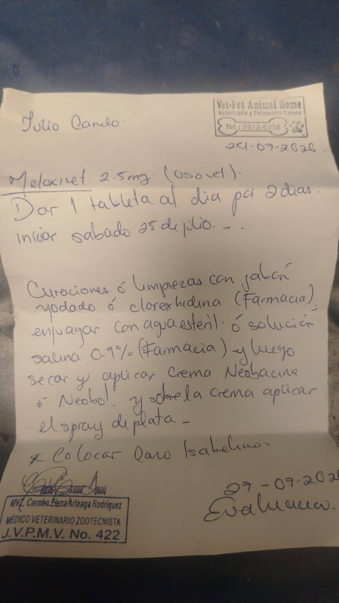 lyssitta's tweet photo. JULIO 🐕
Se llevó de emergencia este día  a Vet-Pet Animal Home  para que le revisaran una herida que ya estaba con pus
En la vet le hicieron limpieza y curación de la lesión , le aplicaron antibiótico de amplio espectro y se le compró analgésico 
Se pagaron $24
Gracias al amigo Salvador que lo llevó a la vet  🙏
También se le compró la Bravecto para las garrapatas $39.67 en TUVET
Esto fue posible gracias a las personas que se han unido al caso de Julio Canelo 🥹
🐾OBY y ARTURITO $10
🐾ANÓNIMO $25
🐾RAFA CALDERÓN $5
🐾JOEL MERCADO $5
🐾ERICK  OLIVARES $5
🐾EVELYN CUADRA $5
🐾ZULMA HERRERA $5
🐾ANÓNIMO $5
Oro y miel a sus manos ✨️

Hay que hacerle curaciones diarias y la siguiente cita la tiene el 27 de julio 
De las donaciones recibidas queda a favor $1.33
Julio es un perrito comunítario que fue abandonado en la zona industrial de San Bartolo...