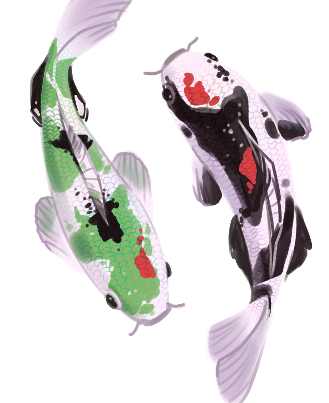 Cale_hes's tweet photo. 🐟🪷
#svsss https://t.co/7u0UJOt3EE