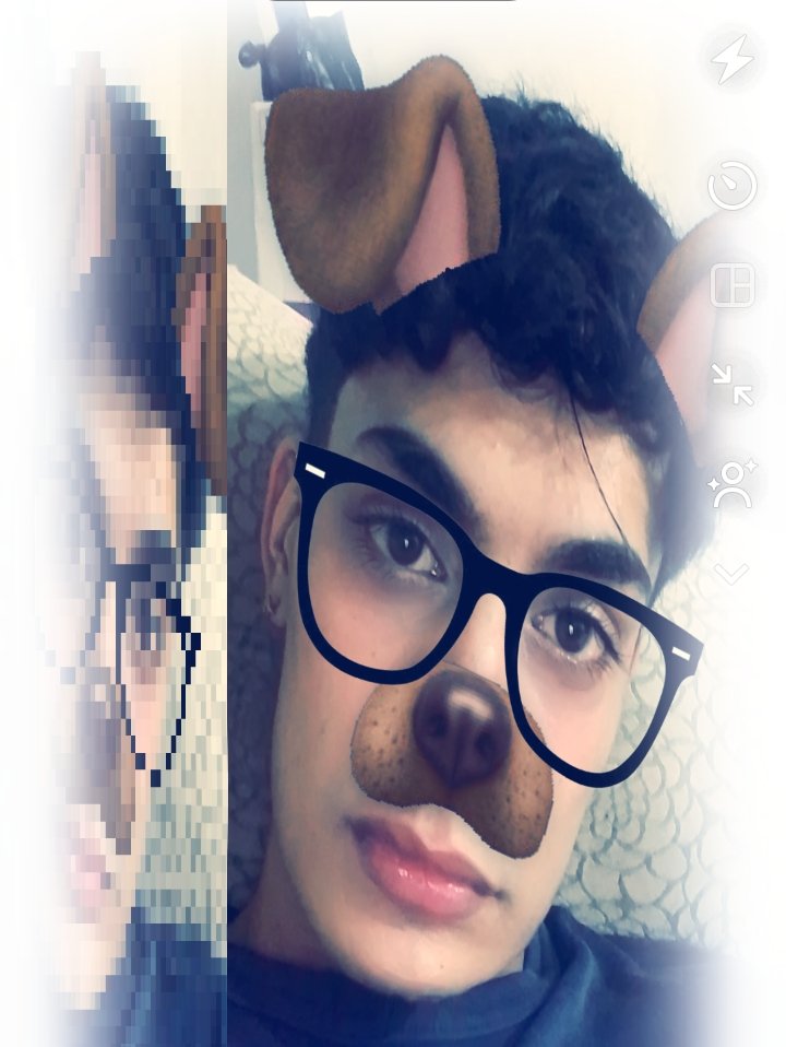 dieguitoxXm's tweet photo. 🐶 https://t.co/0iBszvrvn1