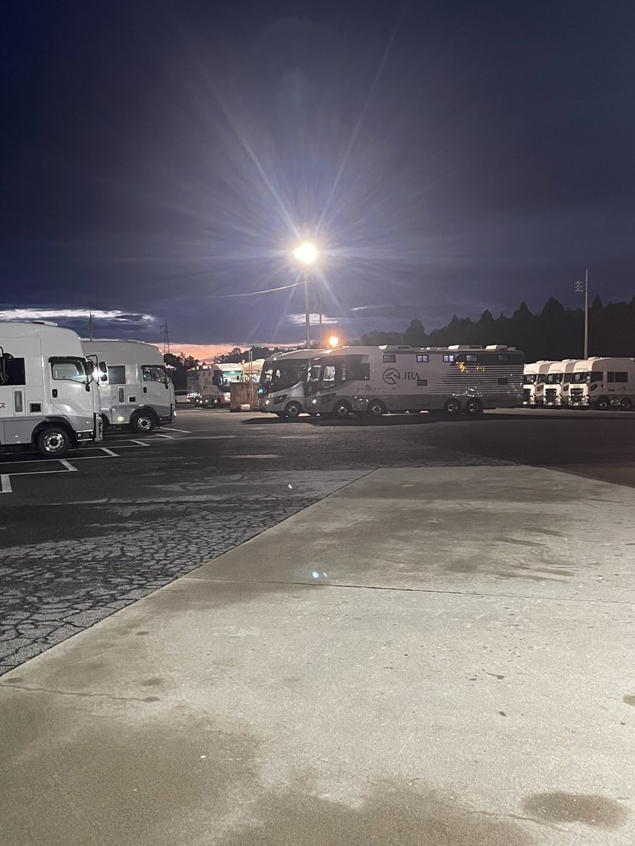 NBahitsu's tweet photo. 🔥🐎【操縦員募集】🚛✨

日本馬匹輸送自動車株式会社では、2026年11月1日採用予定の操縦員（馬運車ドライバー）を募集します！

📄募集要項はこちら👇
https://t.co/SVCOw4Vr6e

たくさんのご応募をお待ちしております！
#日本馬匹輸送自動車株式会社 #操縦員募集 #馬運車 #競馬 #JRA #馬 #求人 #採用 https://t.co/MsfxR3BQZu