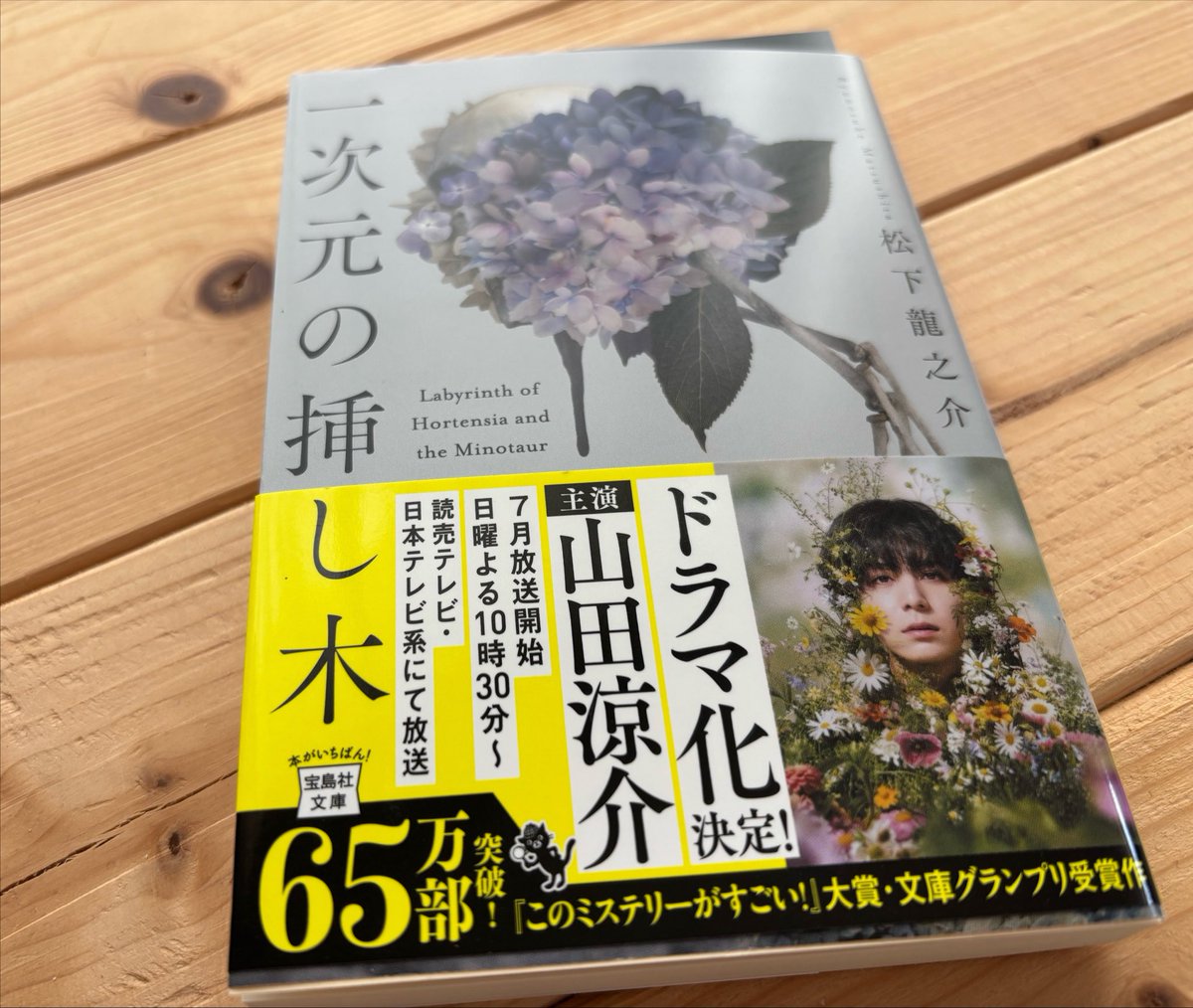 booknosatou's tweet photo. 今日時間あるから『一次元の挿し木』
を一気読みしたい…！ https://t.co/ql4rNUIzaF