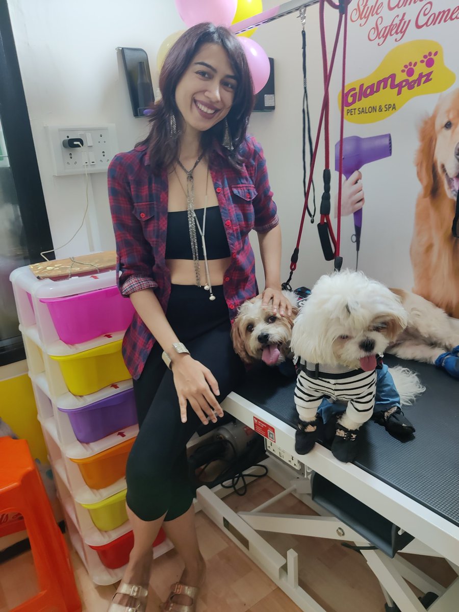 JoannedaCunha's tweet photo. Warning: Extreme fluff + cuteness ahead โ ๏ธ๐โจ
National Shih Tzu Day = the perfect excuse to post these doggos ๐พ Choco and Lola ๐ซ๐ค
From a recent visit to @glampetz ๐ถ๐
โจ Full-time love ๐
#NationalShihTzuDay #ChocoAndLola #ShihTzuLife #TheCutestChaos #DogsofGoa https://t.co/deN3MSH80n