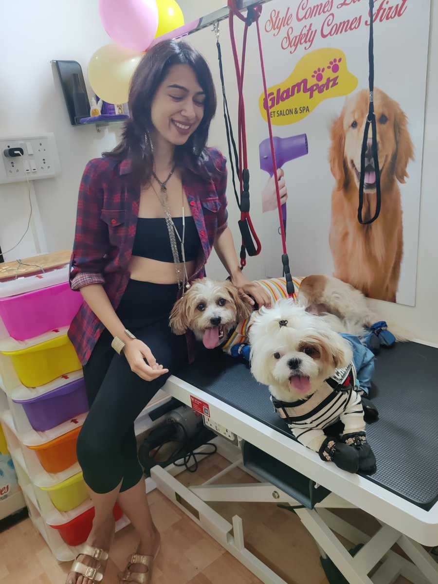 JoannedaCunha's tweet photo. Warning: Extreme fluff + cuteness ahead โ ๏ธ๐โจ
National Shih Tzu Day = the perfect excuse to post these doggos ๐พ Choco and Lola ๐ซ๐ค
From a recent visit to @glampetz ๐ถ๐
โจ Full-time love ๐
#NationalShihTzuDay #ChocoAndLola #ShihTzuLife #TheCutestChaos #DogsofGoa https://t.co/deN3MSH80n