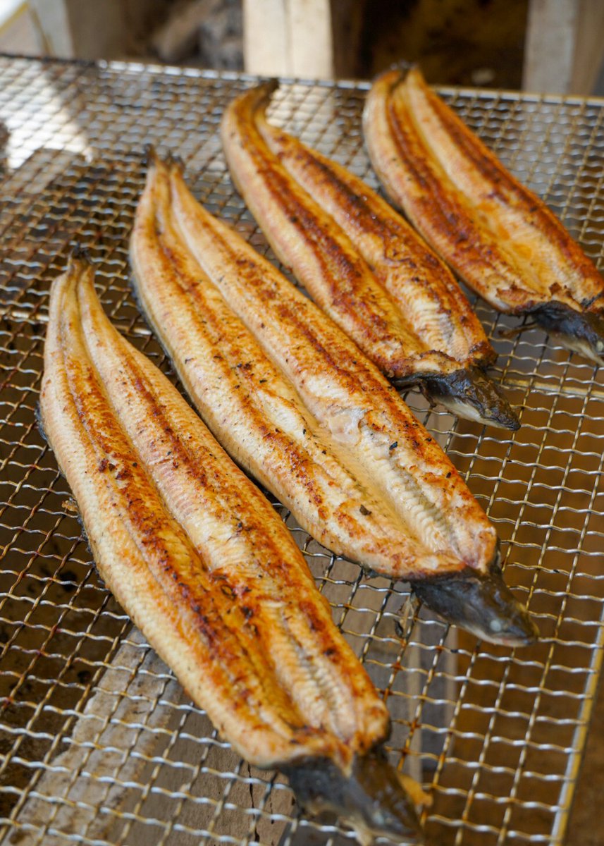 daikyovalue's tweet photo. ＼始まりました🔥／
鹿児島産活ウナギの炭火焼、焼いております！
「今年は肉厚のウナギを用意しました」と水産部長。焼きながらシュッと水を吹きかけるのは、いい焼き目がつくから
「大きいものからなくなるよ」ですって！

#ダイキョー 弥永店、店頭お祭り広場にて販売中。 https://t.co/XSUYIhIwCl