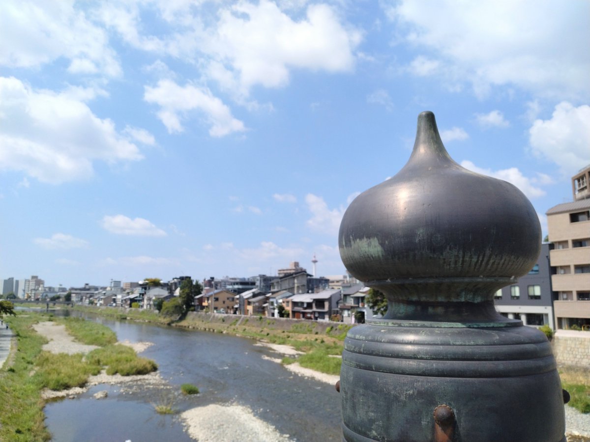 kyotohitotuya's tweet photo. さわるなキケン🧅
（鴨川） https://t.co/6gXFvMguOl