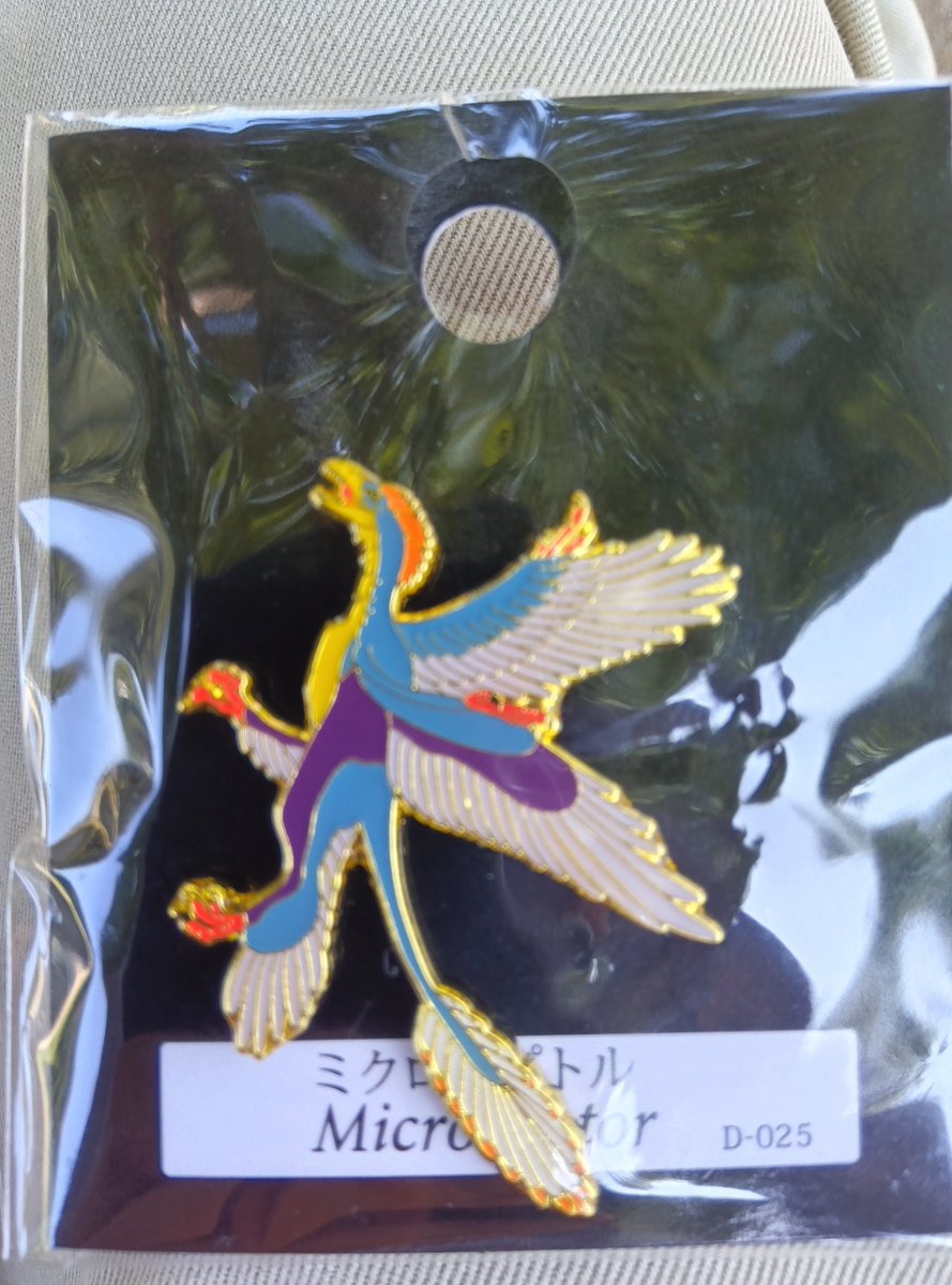 ZuranFanatic's tweet photo. 浜松行ったらマジカルミライのコラボパネルが各所に設置されてるとのことなのでウォーキングがてら巡ってみることにした
最初は浜松科学館、お土産はミクってなってる恐竜ピンズを購入 https://t.co/FRTRD8H1SU