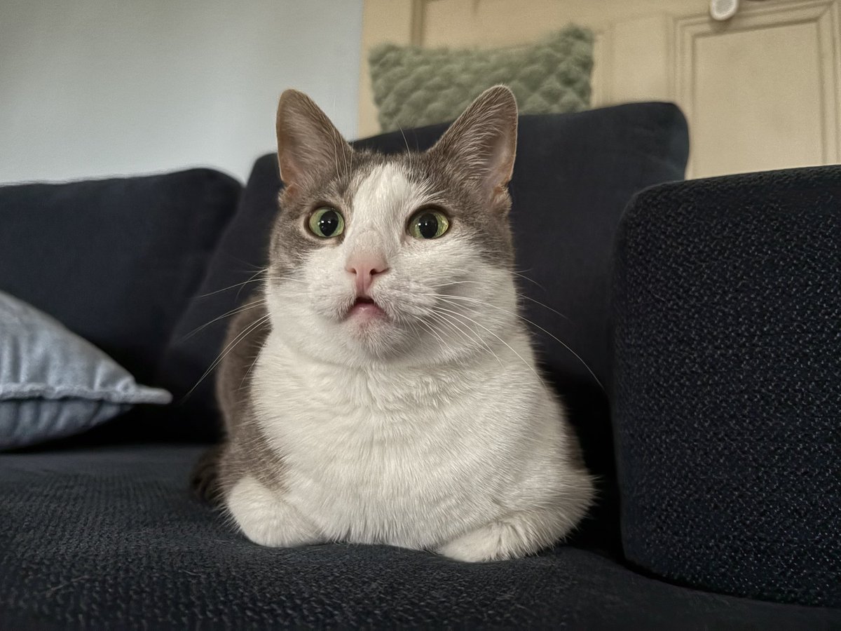 dew3ycat's tweet photo. It’s the weekend! You know what that means, let’s get naked! https://t.co/lx9RgWZLld