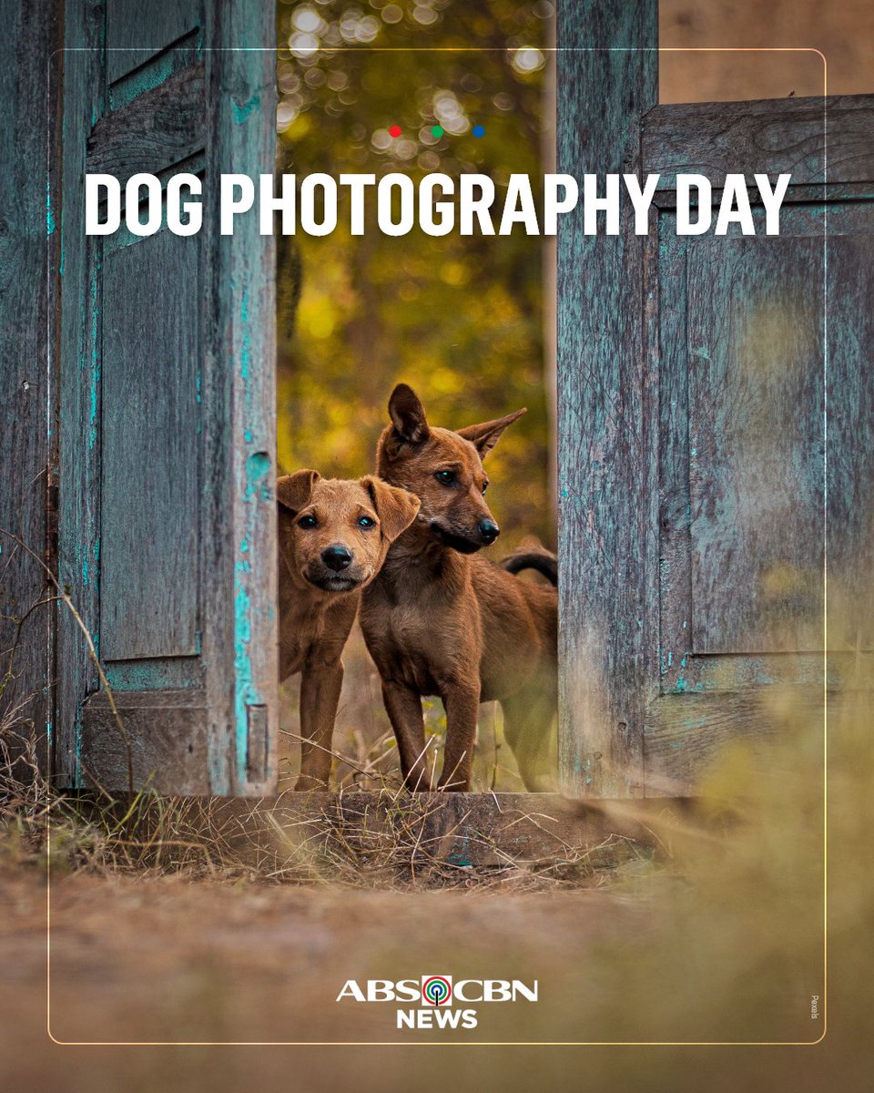 ABSCBNNews's tweet photo. Share mo na ang cutest photos ng alaga mong aso! 🐶 #DogPhotographyDay https://t.co/7Bf93HNnNm