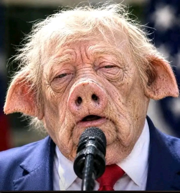 RoqueMachin's tweet photo. #PresidentePedofiloDonaldTrump.
Tu no eres el dueño del mundo, los firmes no te tenemos ningún miedo, eres un asesino y genocida confesó, ya pagaras por tus crimenes más temprano que tarde asesino.
#MuerteAlImperialismo.
#MuerteATrump.
#Asesino. https://t.co/vqEZYyNSAs