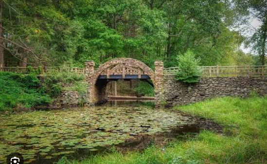 gorovsal1's tweet photo. Summer in Connecticut https://t.co/geBbOa8X0y