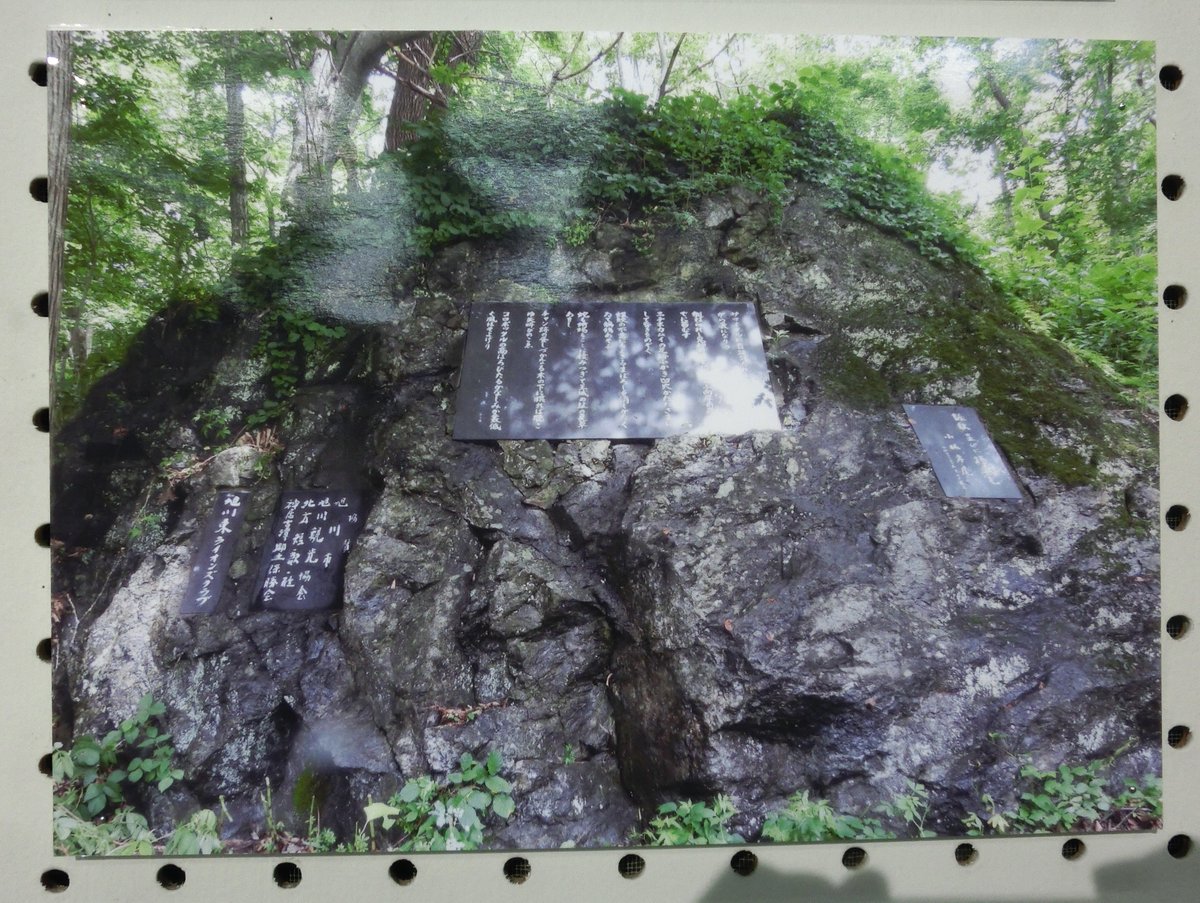 asabun_bungkau's tweet photo. 8月1日の黒田忠さんの講演では、神居古潭に歌碑がある小林孝虎や九条武子をはじめとした文学者のことが紹介されます。小林孝虎（たかとら）さんは神居古潭小中学校の校長を務められた歌人で、会場には、黒田さんがとった歌碑表題の拓本が展示されています。 https://t.co/OlZpoYUSqB