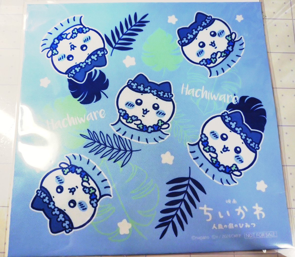 旦那あぁぁぁあ！！！！！ めっちゃ可愛い…！！ハチワレ好きなの把握し