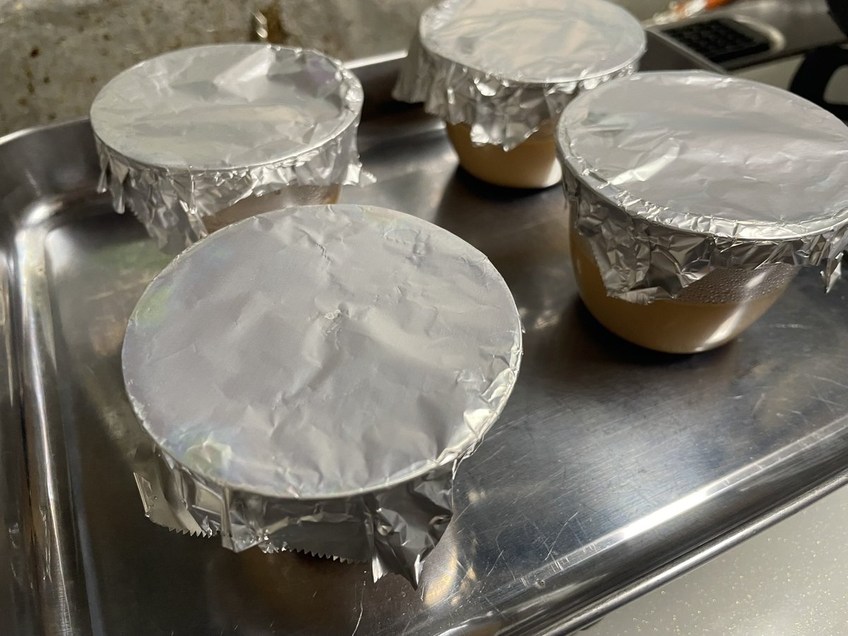cooking0702's tweet photo. ほろにが🍮 https://t.co/51vwgdmAny