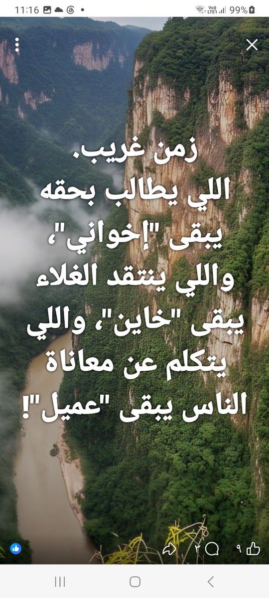 م/ابراهيم عبد المجيد tweet media