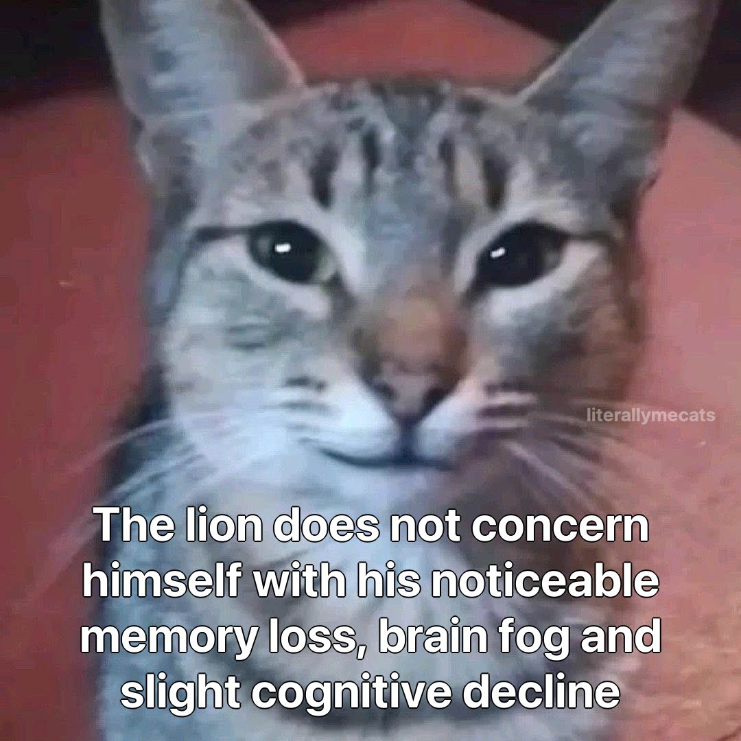 literallymecats's tweet photo. https://t.co/VdjwYdvTHX