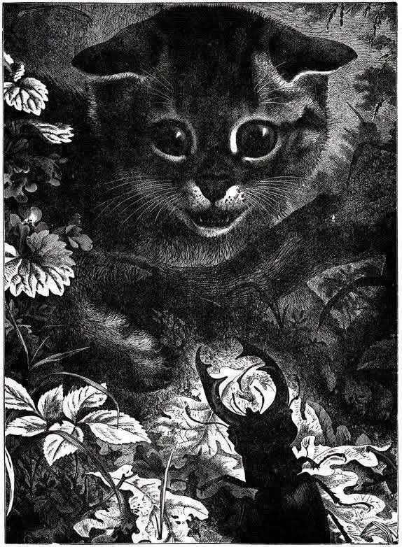 JohnLee90252472's tweet photo. @catisthecatch @BrindusaB1 #catday Happy catday all 🐈‍⬛😻🐈☺️👋 https://t.co/TwIJCt5vcm