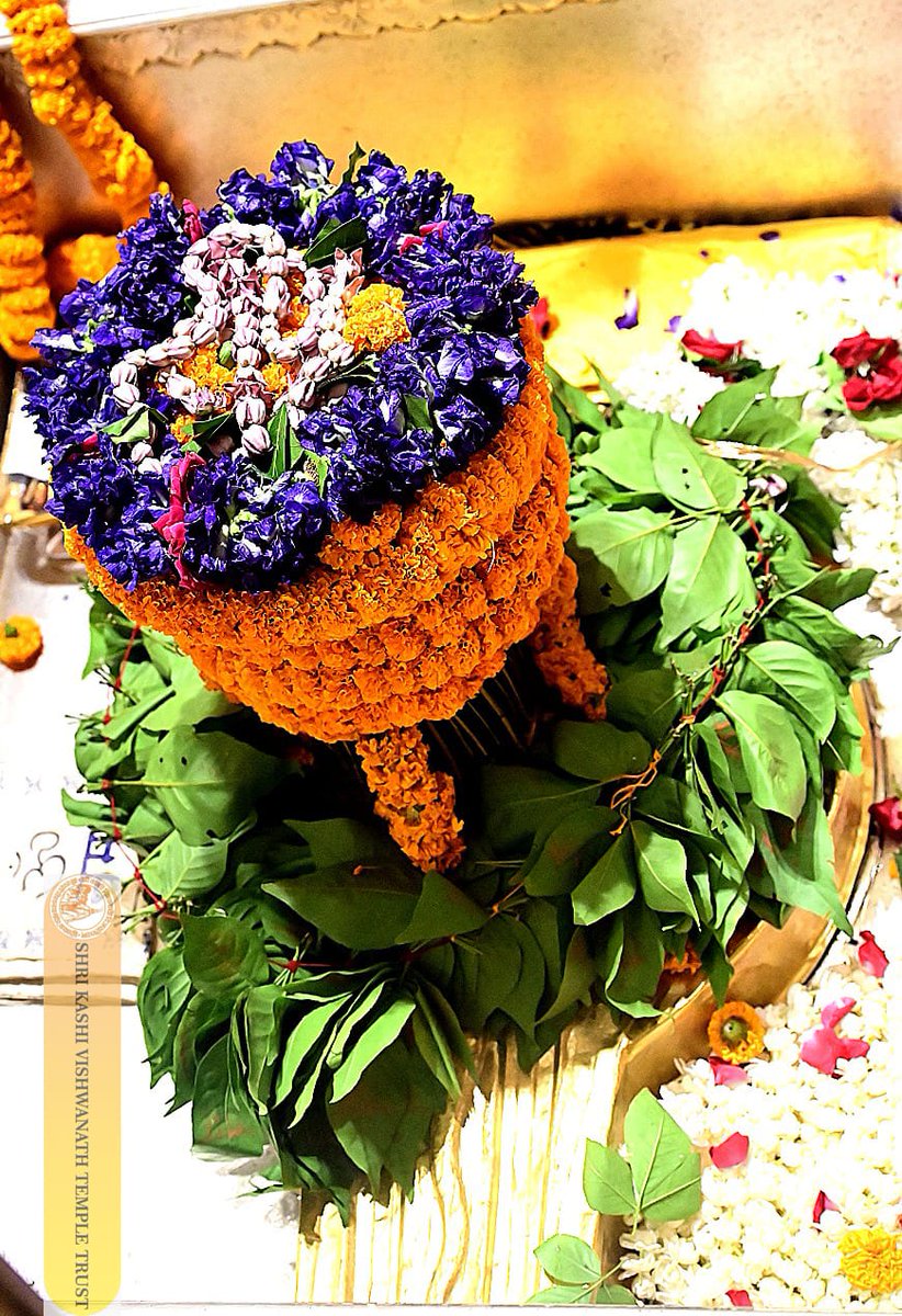 ShriVishwanath's tweet photo. श्री काशी विश्वनाथ जी की मंगला आरती I
#kashivishwanath #kashi #sanatandharma #banarasisilk https://t.co/0siUjVwEkW