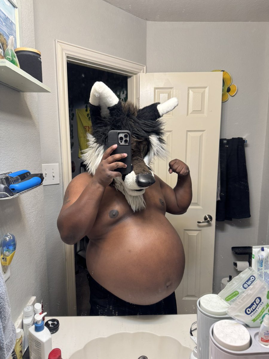 SebastianBelly's tweet photo. Sumo fox? https://t.co/SKSxUomhlM