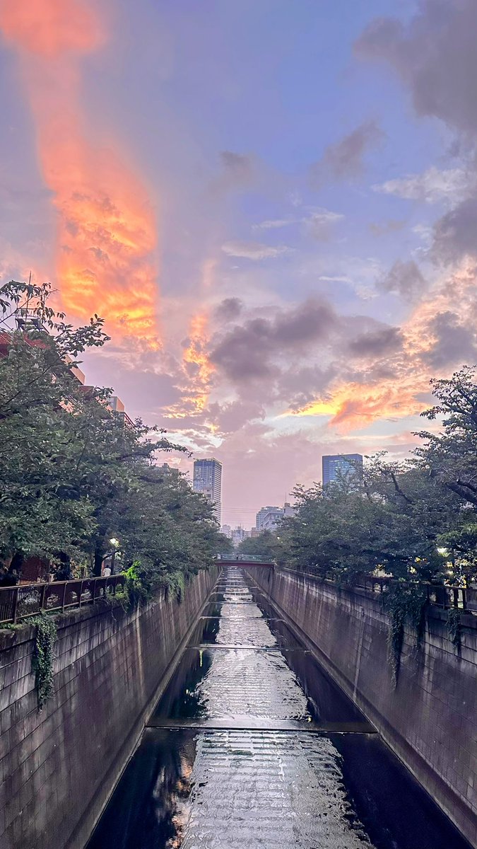 flower_7112's tweet photo. 昨日は夕方から雨の予報だったけど降らなかったなぁ…
でも雷もなって空も凄かった💦 https://t.co/2WyaACN8Ko