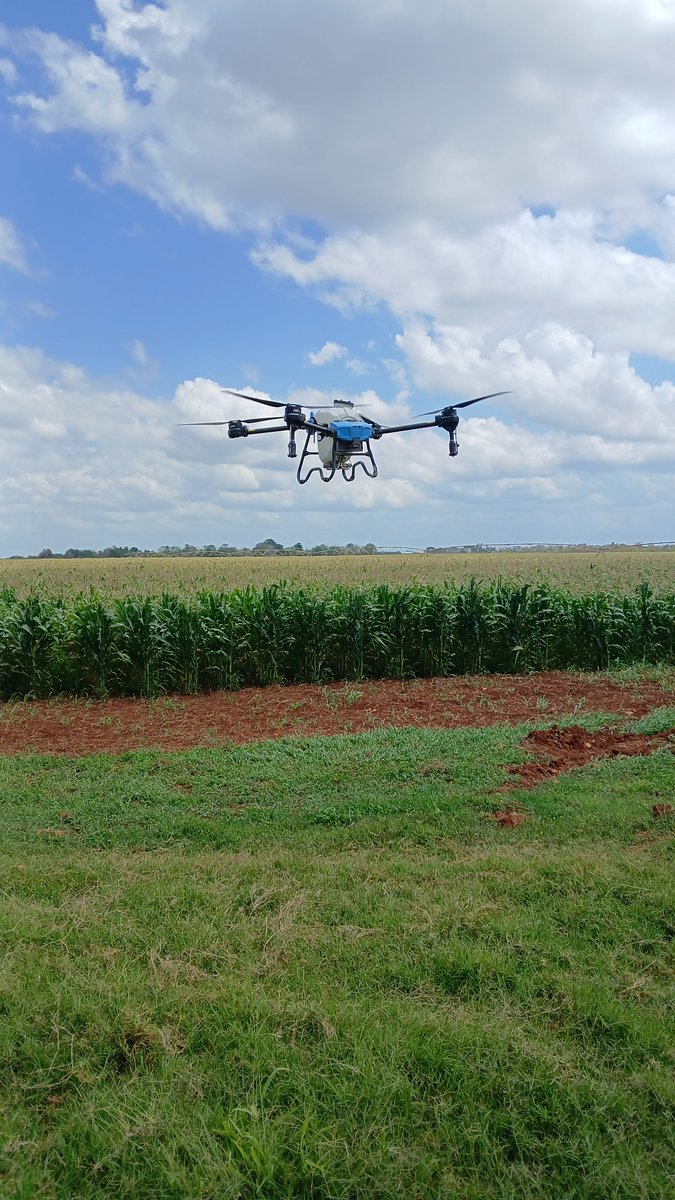 emab_cv's tweet photo. #AgriculturaCubana  @MinagCuba https://t.co/7r2nl58k11