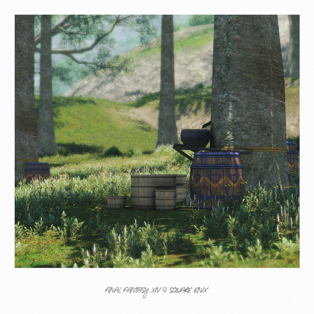iii__pd's tweet photo. 🌳

#FF14風景 https://t.co/fTeZxKrFuh