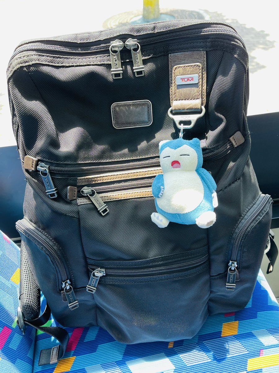 カズキヨ⚡️ tweet media