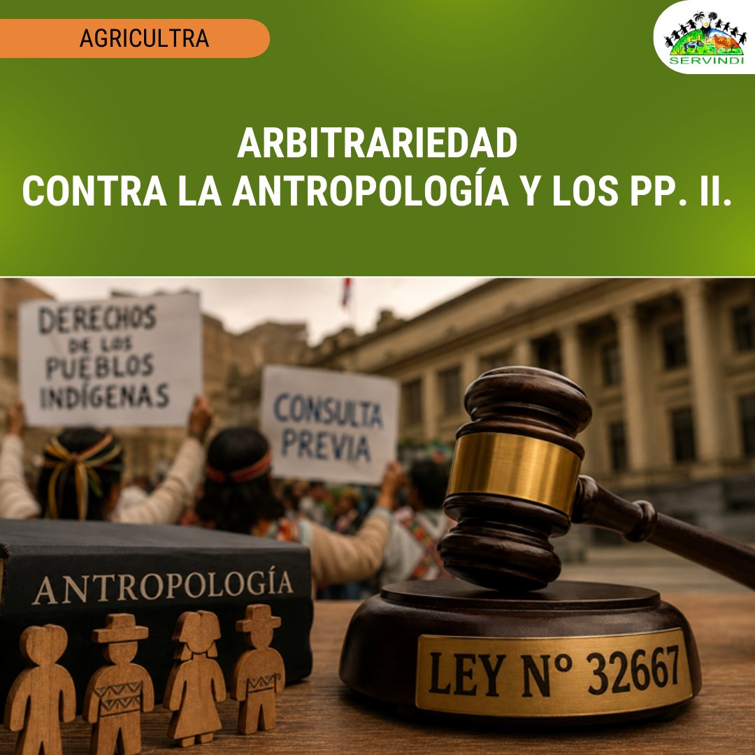 Servindi's tweet photo. 🇵🇪 #Perú César Torres Ortiz sostiene que la Ley N. º 32667 es inconstitucional por imponer colegiatura obligatoria sin consulta a los pueblos indígenas y por excluir a profesionales con formación en el extranjero... ➧ https://t.co/xgK56kb2jQ https://t.co/WNR3xKpmix