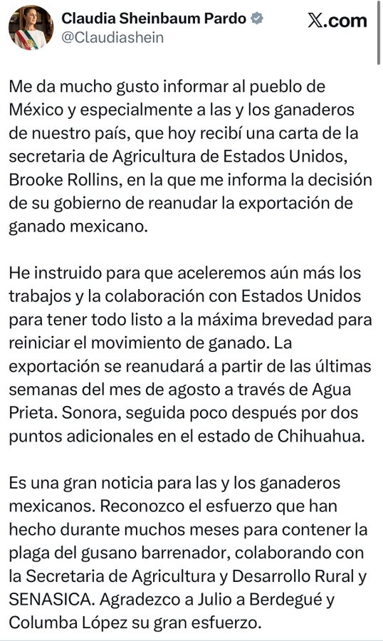 CortinaSinHumo's tweet photo. Carta de EE. UU. recibida = problema resuelto. Qué bonito es ver a la 4T aplaudir cuando desde Washington nos dan luz verde para vender nuestro propio ganado. 📝🤠

Reabren Agua Prieta en agosto tras la crisis del gusano barrenador.

Los ganaderos del norte quebrándose la espalda y perdiendo millones, pero el diplomita de "tarea bien hecha" se lo ponen SENASICA y SADER.

 ¡Faltaba más! 
#Tamaulipas #Sonora #Chihuahua #NoticiasMX
👇 #Ganadería #México #EEUU #ClaudiaSheinbaum