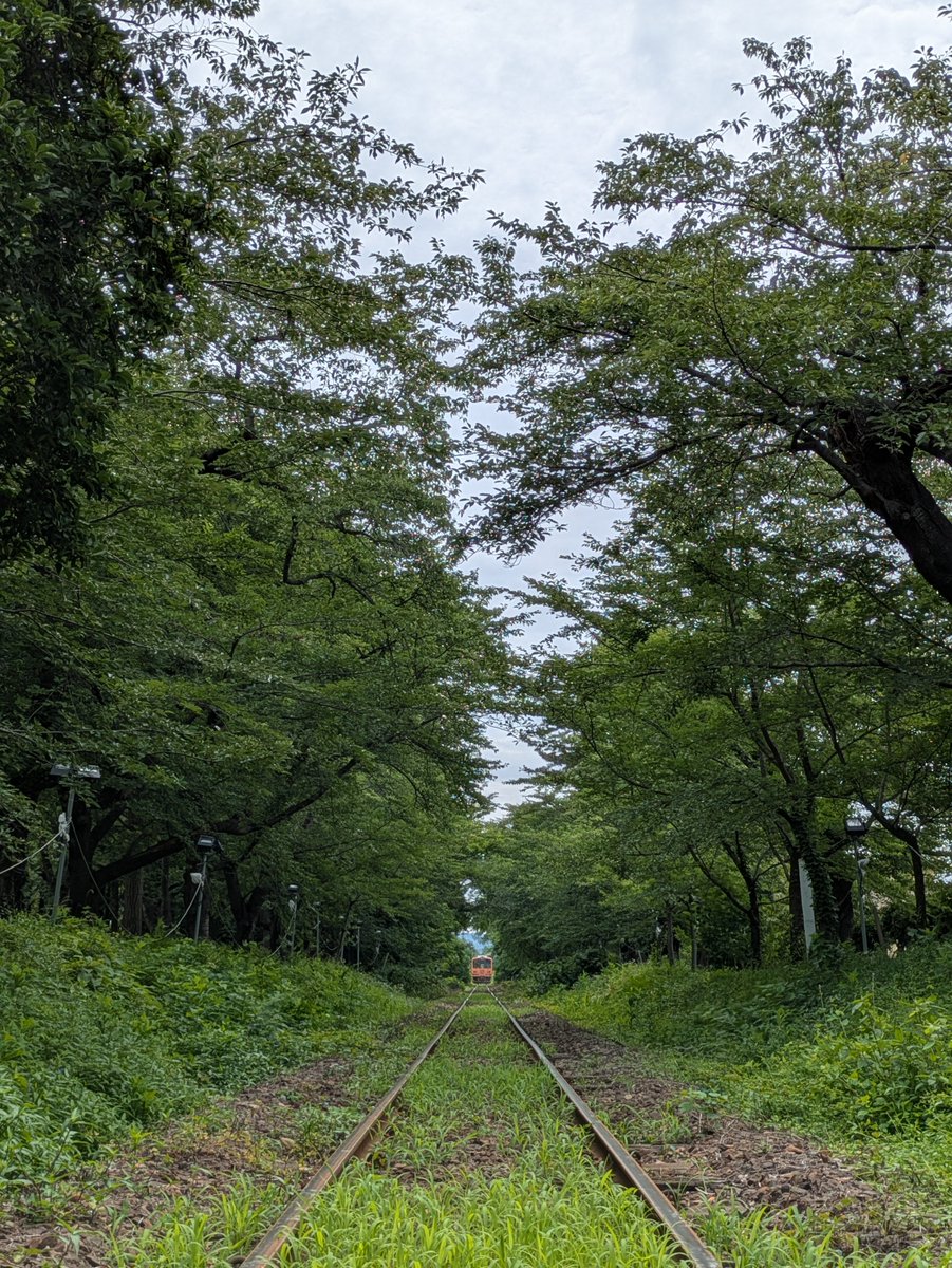 e3RtZdZZn2xH8dh's tweet photo. おはようございます😊
芦野公園は、曇っています☁
風があるので 気持ちいいですよ🍃
プールから 子供達の楽しそうな声が聞こえています🏊
秋食堂 営業中です🙂‍↕️
#秋食堂
#みそおでん
＃かき氷
#芦野公園
#金木B&amp;G海洋センター
#津軽鉄道
#走れメロス https://t.co/u0Qk1qCeOu