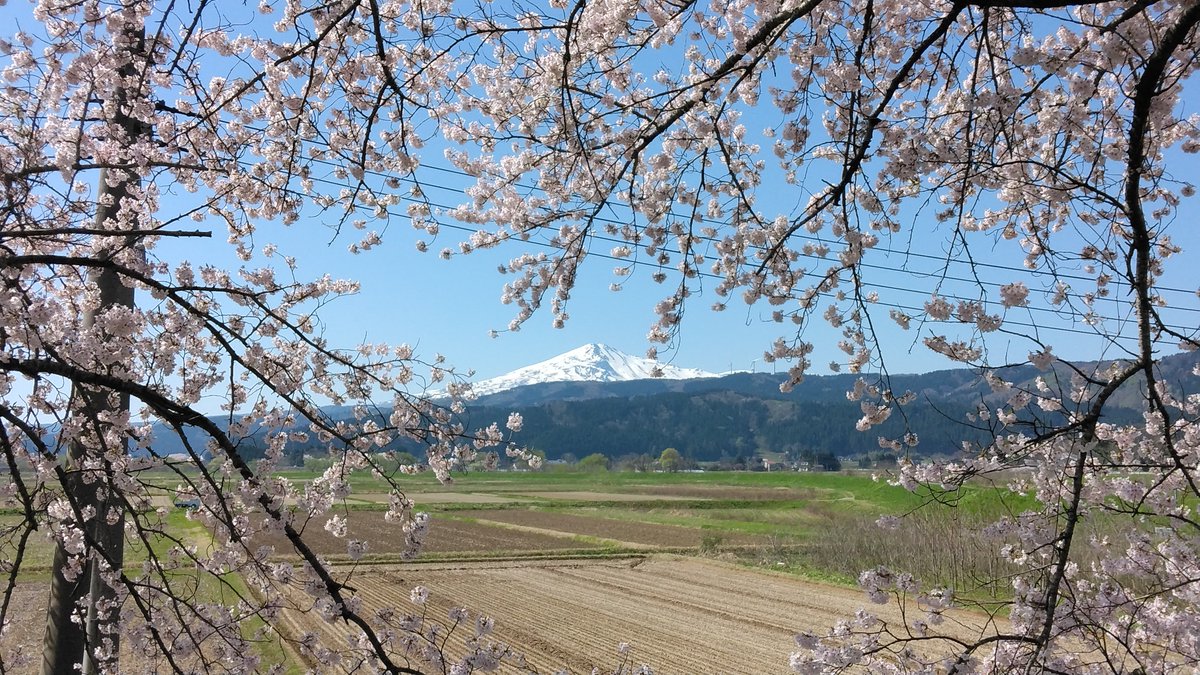 IC0642's tweet photo. @2OGrNskWtd3fsO7 反対側の民ですが出羽の富士には子供の頃から敬意を持ってました
写真撮ったら馬鹿にされる？なら馬鹿で結構！ https://t.co/SV8695URFd