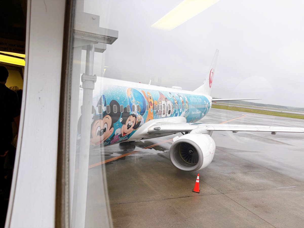plu_yo's tweet photo. 先日、JALのジュビリーエクスプレスに乗るために新千歳まで✈️
音楽も流れてて気分も上がった🎵
CAさんがとても親切で「揃いましたか☺️？」と紙コップのデザイン確認してくれたー🥹✨ https://t.co/katG8lqhsB