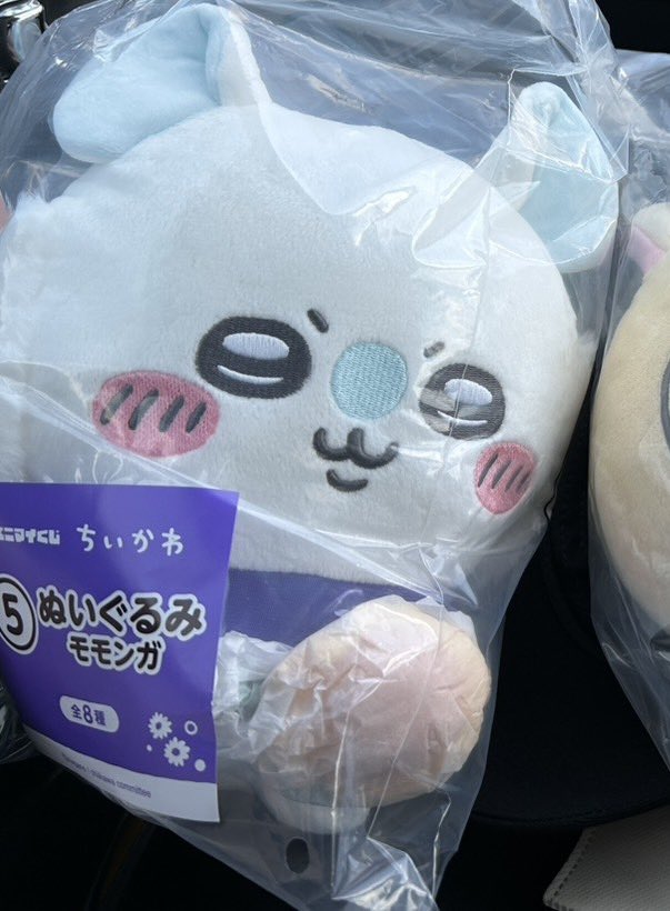 mkk_1515's tweet photo. @hakone_3n はじめまして、検索から失礼いたします。
ぬいぐるみモモンガを所持しているのですが、同種ちいかわとのご交換は可能でしょうか？
つくば市内での手渡し交換希望です。
出先のためID付きではなく申し訳ございません。

どうぞ宜しくお願いいたします。 https://t.co/jT8fxkMVxF