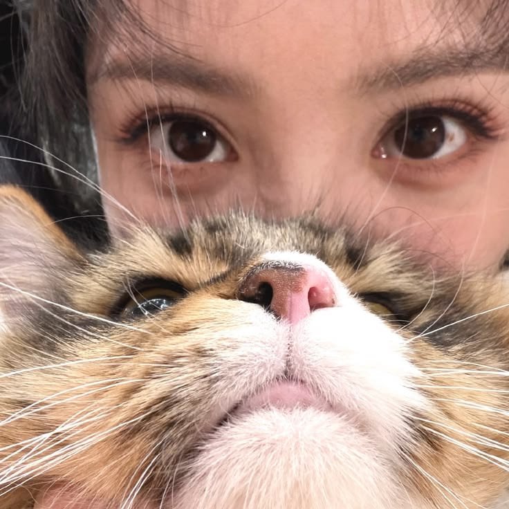 eldeiweiss's tweet photo. selamat pagi 😻 https://t.co/2RTnaHpNcW