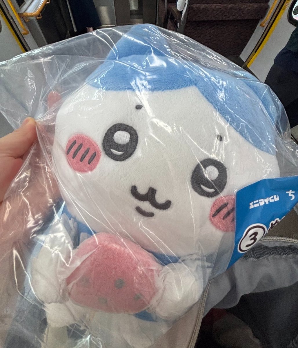 a_chanchan24's tweet photo. ちいかわ エニマイくじ ぬいぐるみ 交換

【求】 モモンガ
【譲】 ハチワレ

大阪府内での直接手渡し、郵送も可能です。

お心当たりのある方はよろしくお願い致します。 https://t.co/WvJOUOiokU