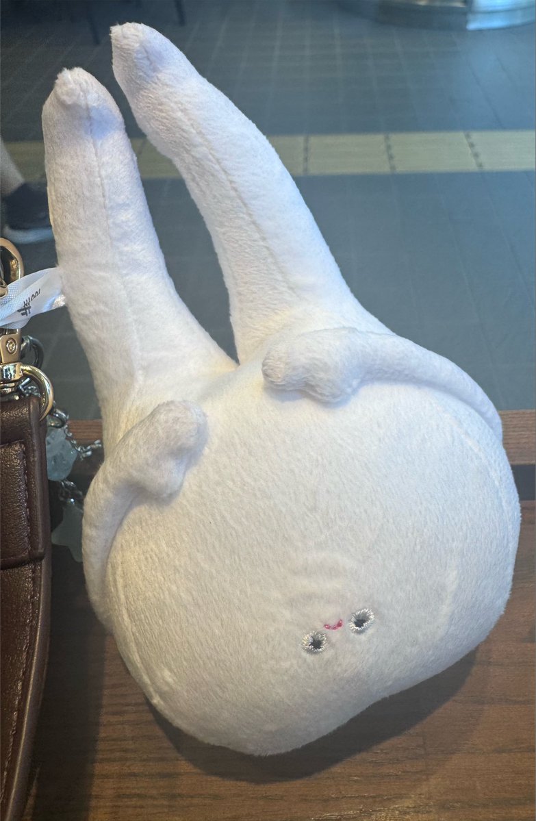 ta_n____'s tweet photo. 上の歯 https://t.co/4FkboFomAe