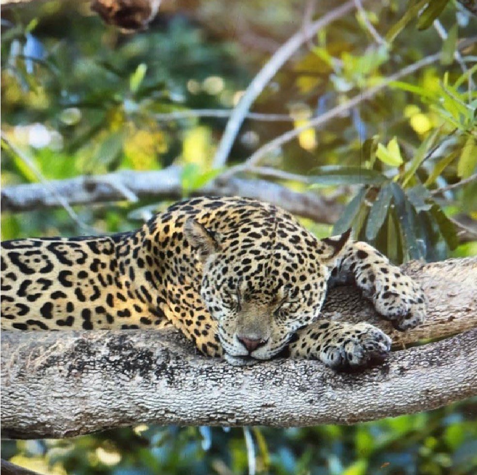 taveirinha's tweet photo. fui amansada
#hoje #o #crime #vai #descansar https://t.co/WbkCuQcsAM